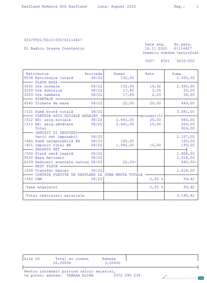 Download Kaufland Romania SCS Paystub Photoshop template